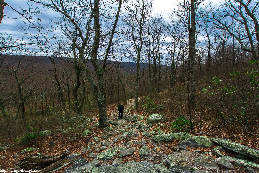 dunffield creek green trail